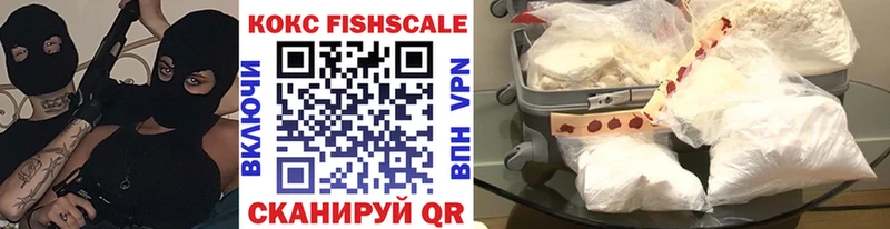 купить наркотик  Сланцы  Cocaine Fish Scale 