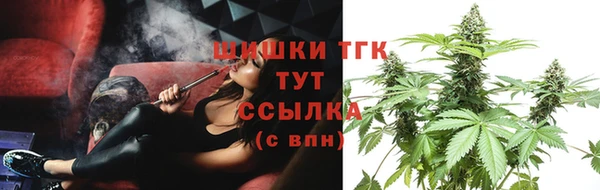 прущие крисы Аркадак