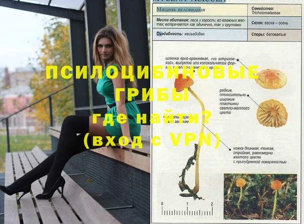 прущий лед Арсеньев